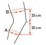 00009.jpg 00009.jpg